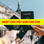 Hồ sơ và trình tự thủ tục nhập quốc tịch Việt Nam cho con