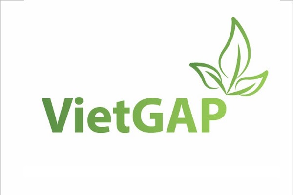 Chứng nhận Viet Gap