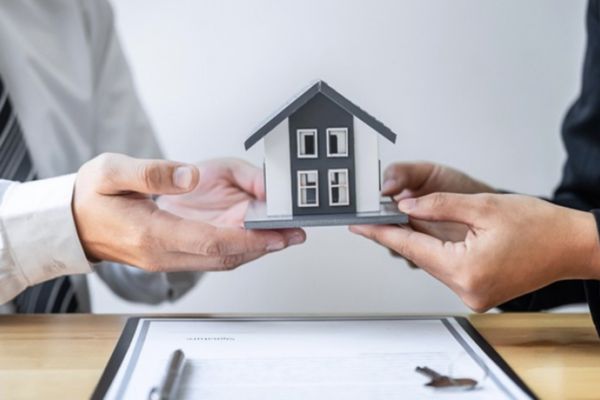 bản gốc hợp đồng góp vốn