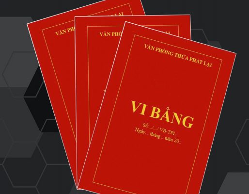 vi bằng tố tụng hình sự