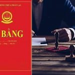 gia-tri-phap-ly-cua-vi-bang-va-thuc-tien-ap-dung-vi-bang-trong-mot-so-vu-an-dien-hinh-4
