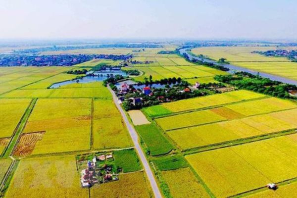 Thuế sử dụng đất phi nông nghiệp Ai phải nộp?