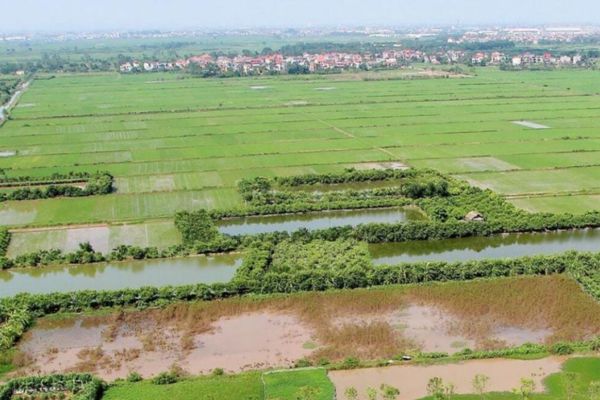 Công chứng hợp đồng mua bán đất nông nghiệp